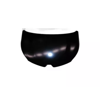 Capot-moteur OE 651004529R