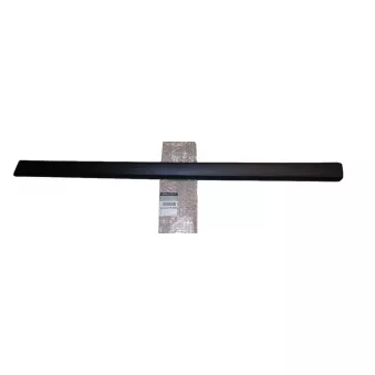 Baguette et bande protectrice, porte avant droit OE 808201969R pour DACIA LOGAN TCe 90 - 90cv