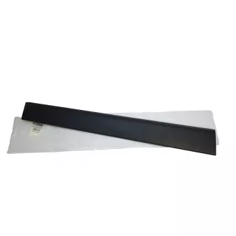 OE 808779284R - Baguette et bande protectrice, porte avant gauche