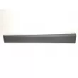 OE 808779284R - Baguette et bande protectrice, porte avant gauche