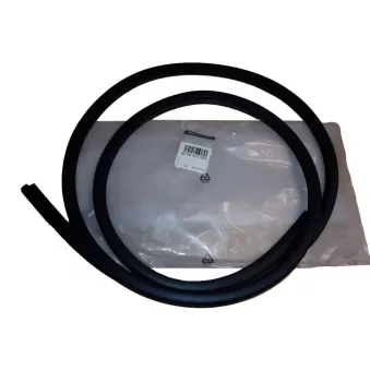 Joint de fenêtre (pare-brise) OE OEM 8200425923