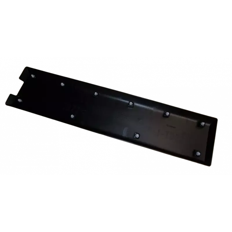 Moulure De Portes Gauche Arrière OE 828200149R - Visuel 1