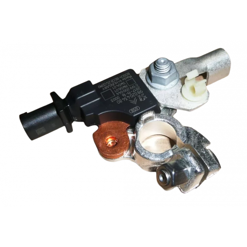 Module, Unité de contrôle BSI OE 9802043480 - Visuel 1