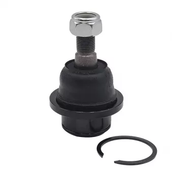Rotule de suspension CTR CB0283