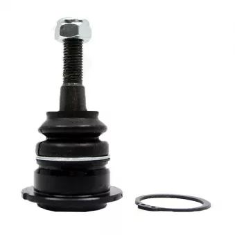 Rotule de suspension CTR OEM RBK500030
