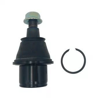 Rotule de suspension CTR OEM RBK500230