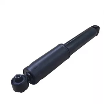 Jeu de 2 amortisseurs arrière CTR OEM 553003X100
