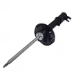 CTR GY1138G - Amortisseur arrière droit