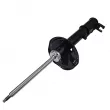 CTR GY1154G - Amortisseur arrière droit