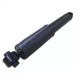 CTR GY1248G - Jeu de 2 amortisseurs arrière