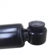 CTR GY1248G - Jeu de 2 amortisseurs arrière