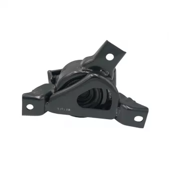 Support moteur CTR OEM 218101C220