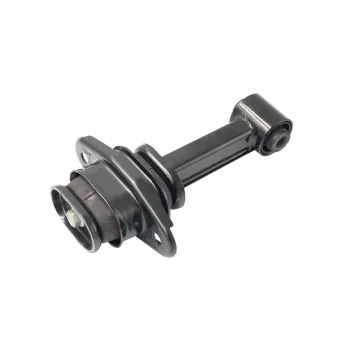 Support moteur CTR OEM 21950H8100