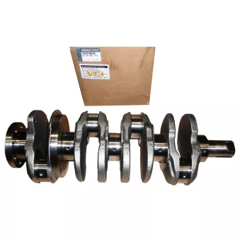 Vilebrequin OE 8200805743