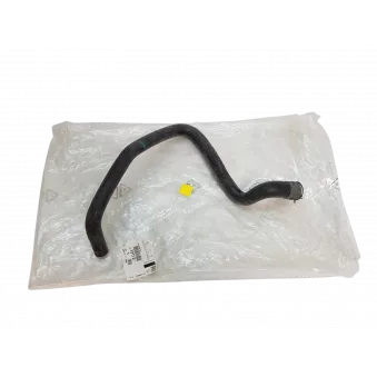 Tuyau de radiateur OE 1317A1