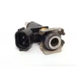 OE 166008992R - Injecteur
