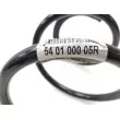 OE 540100005R - Ressort de suspension avant