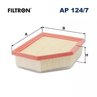 Filtre à air FILTRON AP 124/7