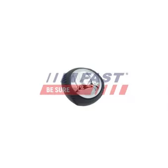 Pommeau FAST FT00083 pour MAZDA PREMACY 2.0 TD - 101cv