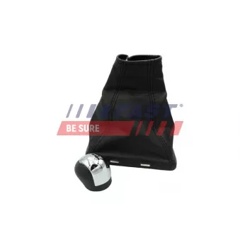 Pommeau FAST FT00100 pour RENAULT SCENIC 1.8 - 140cv