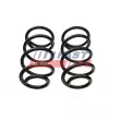 FAST FT12291K - Ressort de suspension avant 