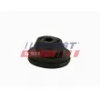 FAST FT13027 - Suspension, radiateur