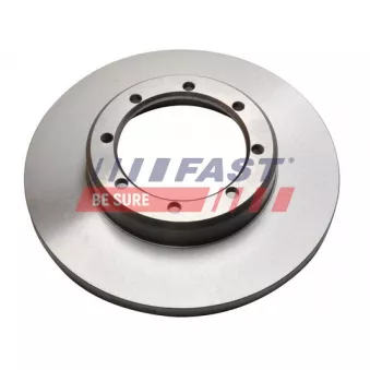 Jeu de 2 disques de frein arrière FAST OEM 4421180