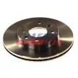 FAST FT31514 - Jeu de 2 disques de frein avant