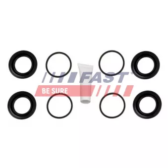 Kit de réparation, étrier de frein FAST FT32205