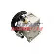 FAST FT36252 - Pompe hydraulique, direction