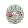 Roue dentée, vilebrequin FAST [FT45604]