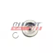 FAST FT47131/0 - Piston