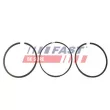 Jeu de segments de pistons FAST [FT47351/0]