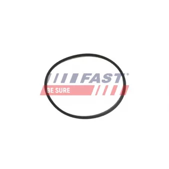 Joint d'étanchéité, collecteur d'admission FAST FT49464