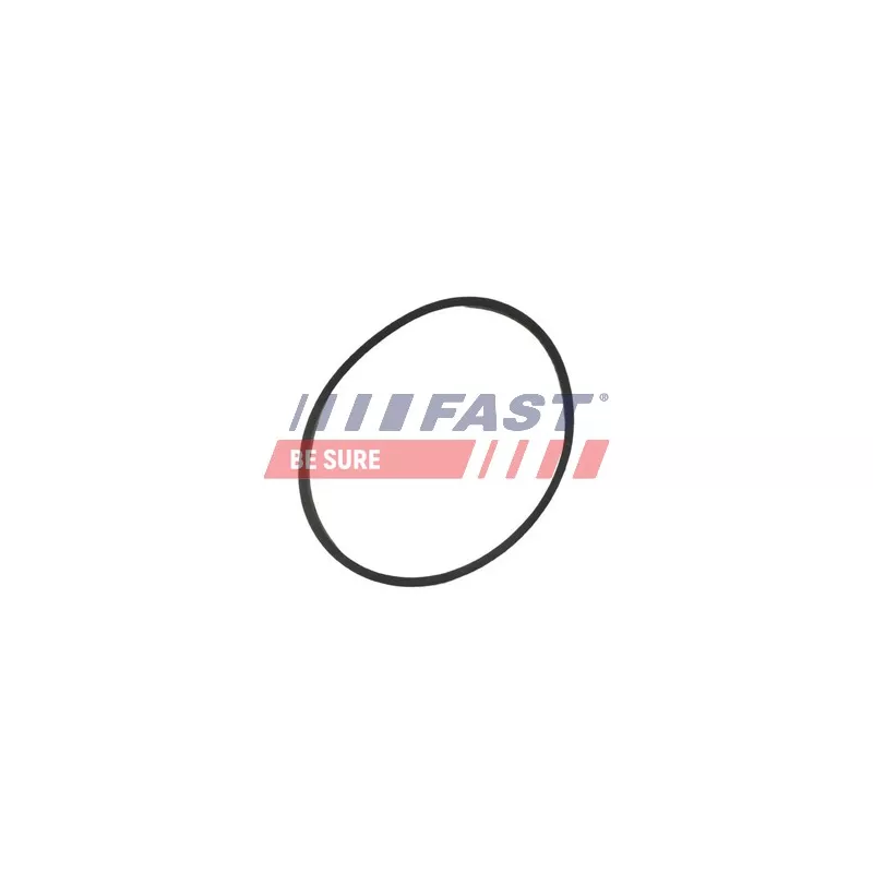 Joint d'étanchéité, collecteur d'admission FAST FT49464 - Visuel 1