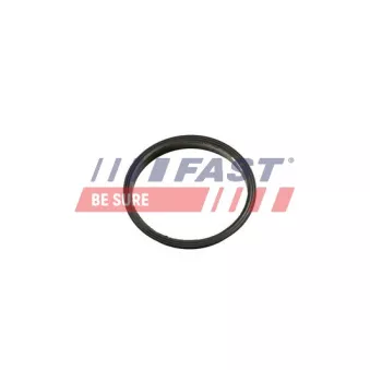 FAST FT49853 - Joint, pompe à vide