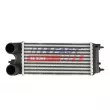 Intercooler, échangeur FAST [FT55574]