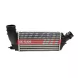 FAST FT55594 - Intercooler, échangeur