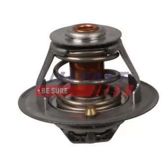 Thermostat d'eau FAST OEM 500329622