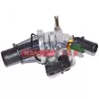 FAST FT58162 - Thermostat d'eau