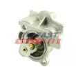 FAST FT58165 - Thermostat d'eau