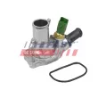 FAST FT58170 - Thermostat d'eau