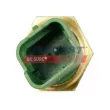 FAST FT58170 - Thermostat d'eau