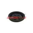 Diaphragme, ventilation du carter-moteur FAST [FT60101]