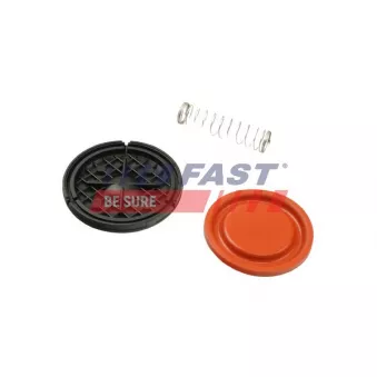 Diaphragme, ventilation du carter-moteur FAST FT60105 pour LAND ROVER RANGE ROVER EVOQUE 2.2 D 4x4 - 150cv
