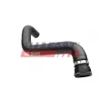FAST FT61011 - Durite de radiateur