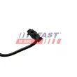 FAST FT61017 - Durite de radiateur