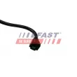 FAST FT61119 - Durite de radiateur