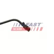 FAST FT61498 - Durite de radiateur