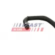 FAST FT61498 - Durite de radiateur
